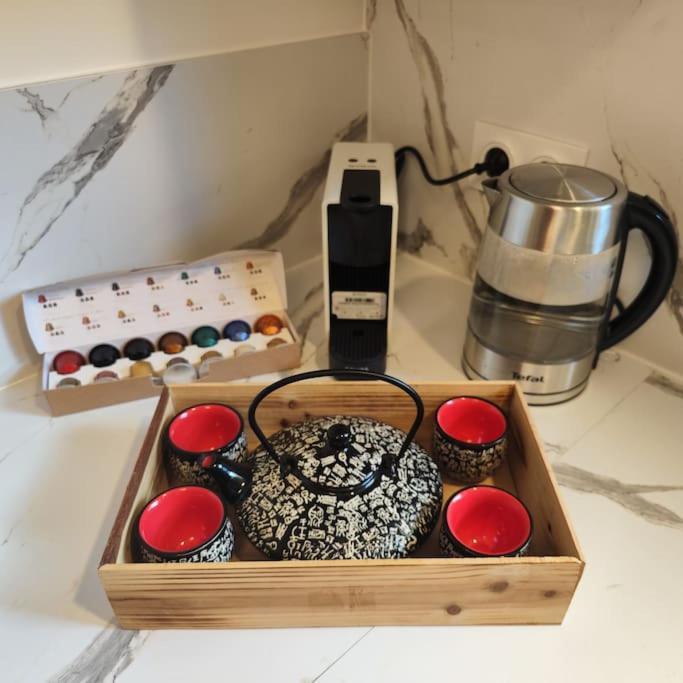 Superbe Cosy Duplex Appartement T3 Charpenne Tete D'Or Avec Parking Prive Gratuit Villeurbanne Buitenkant foto