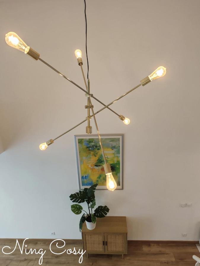 Superbe Cosy Duplex Appartement T3 Charpenne Tete D'Or Avec Parking Prive Gratuit Villeurbanne Buitenkant foto