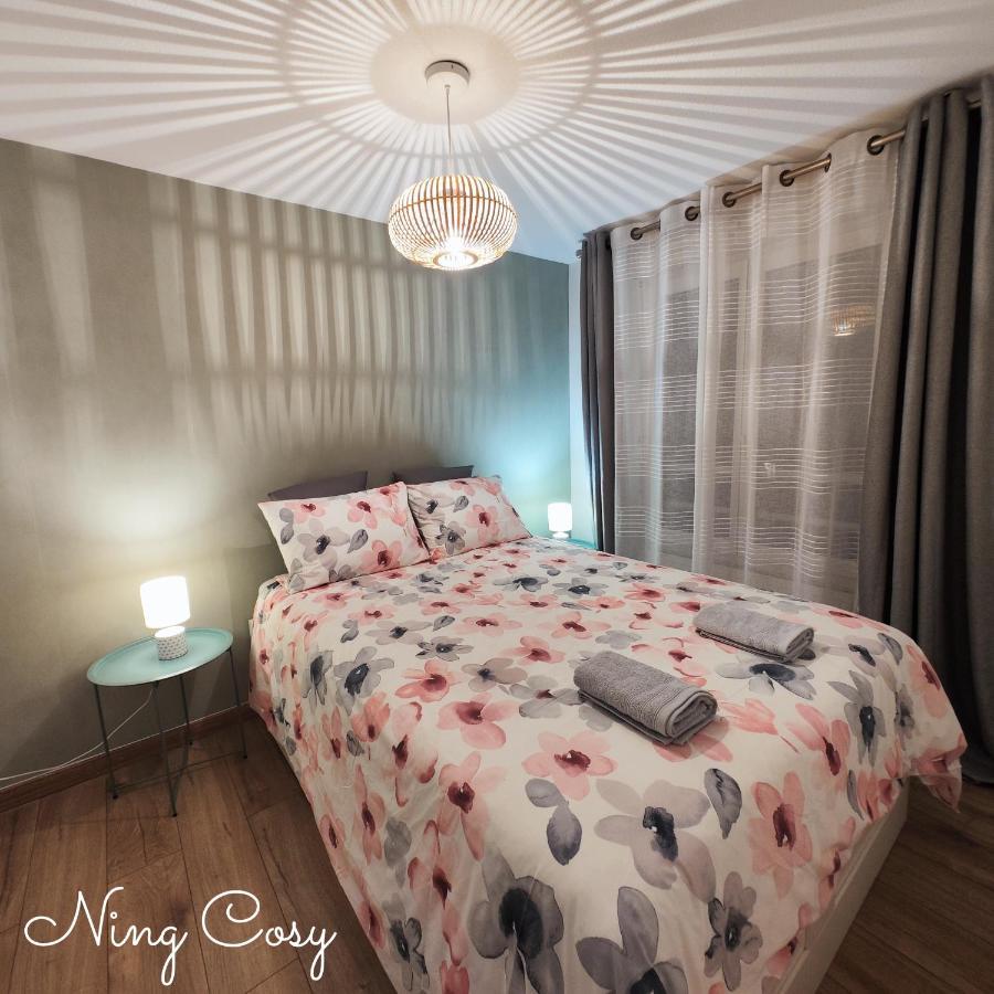Superbe Cosy Duplex Appartement T3 Charpenne Tete D'Or Avec Parking Prive Gratuit Villeurbanne Buitenkant foto
