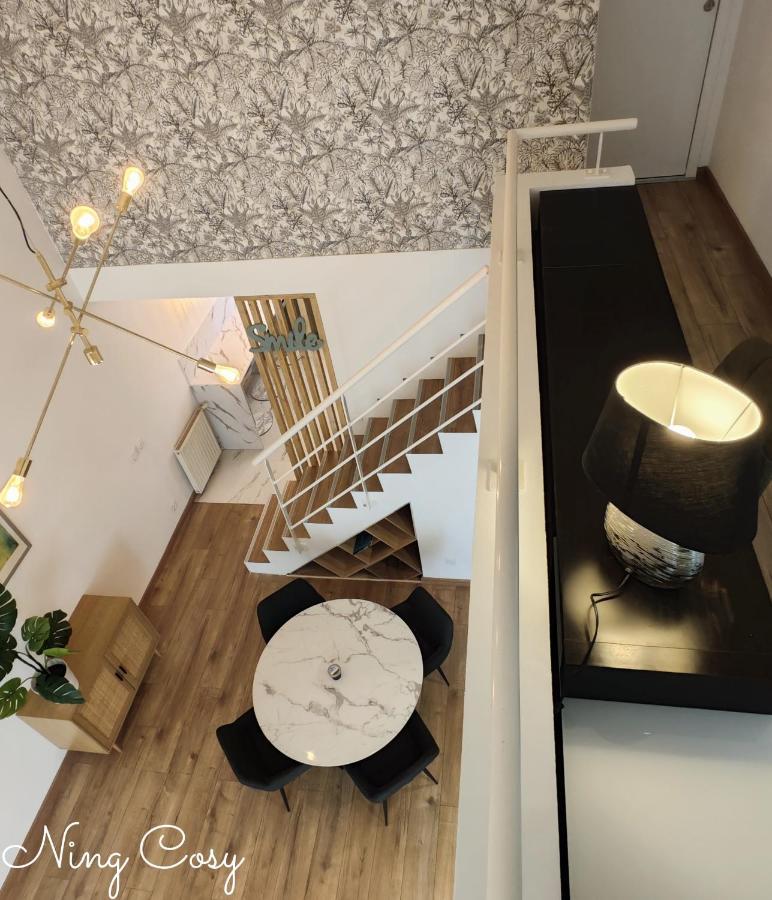 Superbe Cosy Duplex Appartement T3 Charpenne Tete D'Or Avec Parking Prive Gratuit Villeurbanne Buitenkant foto