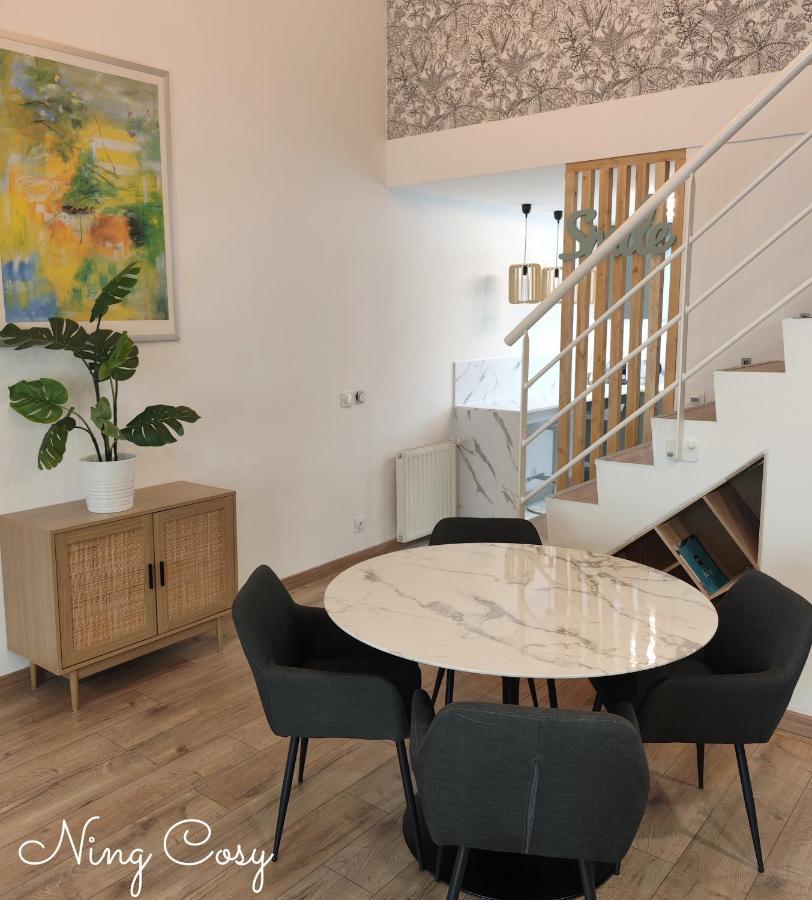 Superbe Cosy Duplex Appartement T3 Charpenne Tete D'Or Avec Parking Prive Gratuit Villeurbanne Buitenkant foto