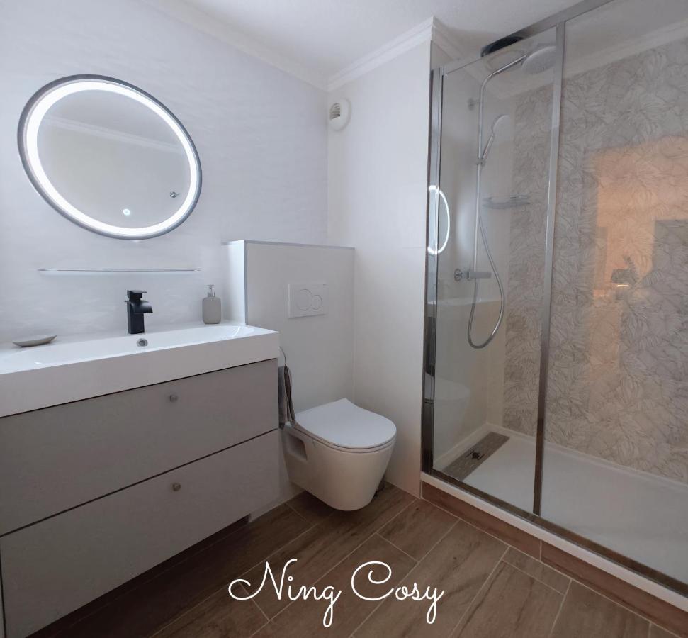 Superbe Cosy Duplex Appartement T3 Charpenne Tete D'Or Avec Parking Prive Gratuit Villeurbanne Buitenkant foto