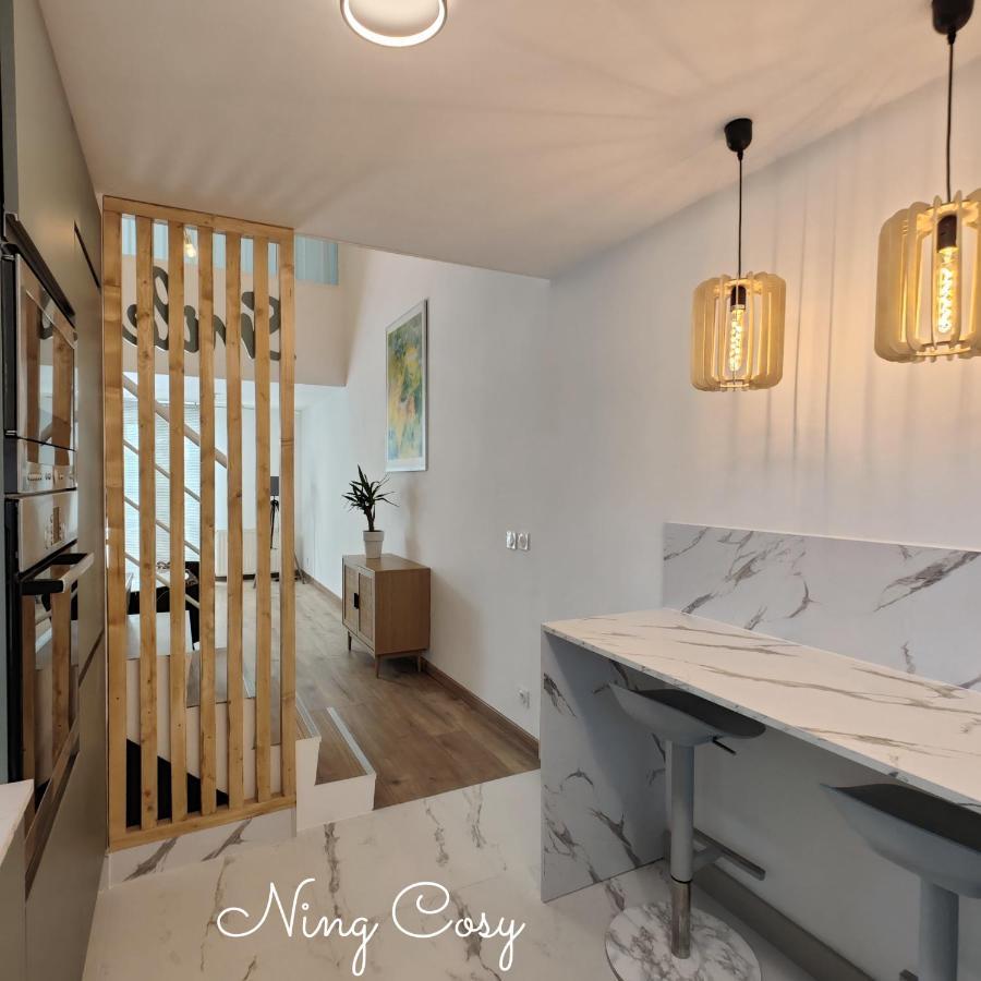 Superbe Cosy Duplex Appartement T3 Charpenne Tete D'Or Avec Parking Prive Gratuit Villeurbanne Buitenkant foto