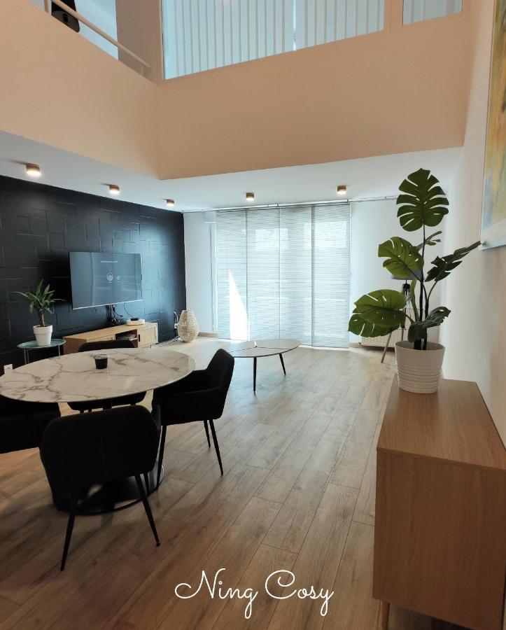 Superbe Cosy Duplex Appartement T3 Charpenne Tete D'Or Avec Parking Prive Gratuit Villeurbanne Buitenkant foto